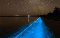 spiaggia magia luminescenza plancton