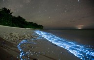 spiaggia magia luminescenza plancton