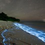 La spiaggia si colora di magia con la bioluminescenza del plancton