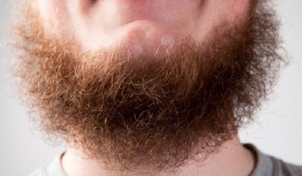 7 fatti barba spingeranno volerla