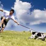 7 ragioni cane ottimo compagno allenamento