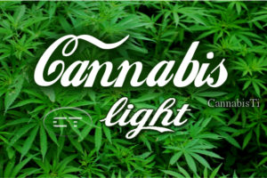 Cannabis light, dove acquistarla in Italia e perché è legale