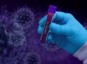 Coronavirus, in arrivo il primo test italiano rapido per la patente di immunità