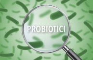 Probiotici, perché sono importanti per la salute dell’organismo?