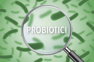 Probiotici, perché sono importanti per la salute dell’organismo?
