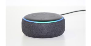 Assistenti vocali nella domotica