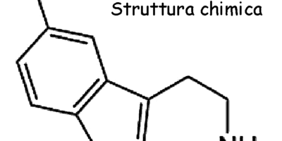 Aumentare la serotonina con l’alimentazione, ecco i cibi da scegliere