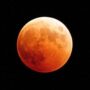 Luna rossa, ecco quando ci sarà l’eclissi totale